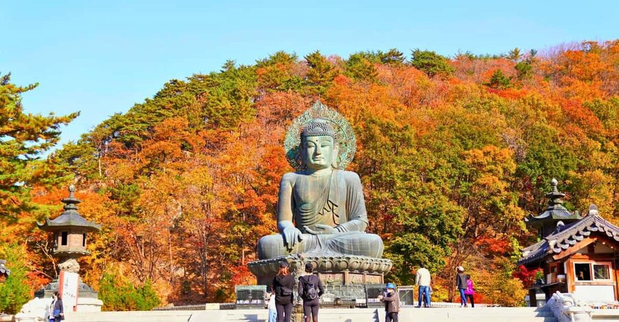 From Seoul: Seoraksan Mountain with Cable Car- Shuttle Bus - Key Things You’ll Notice on This Seoraksan Day