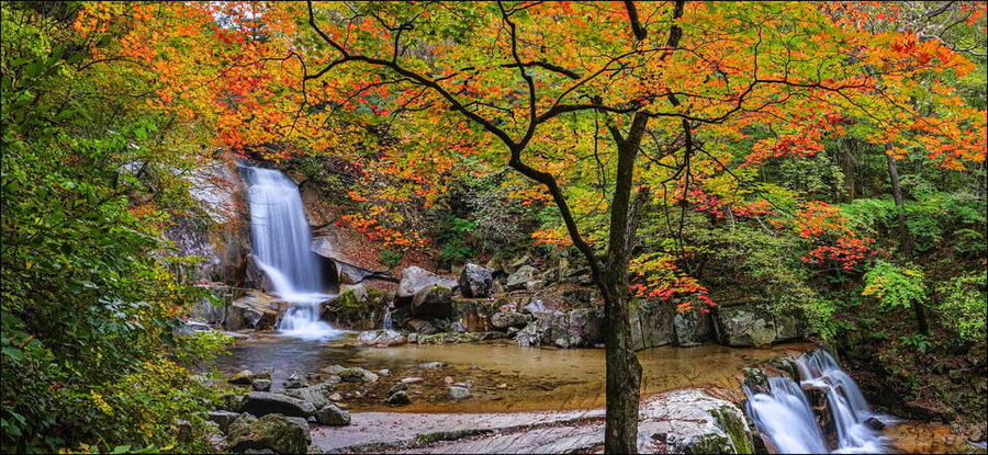 From Seoul: Seoraksan Mountain with Cable Car- Shuttle Bus - Why Seoraksan in Autumn Feels Worth the Effort