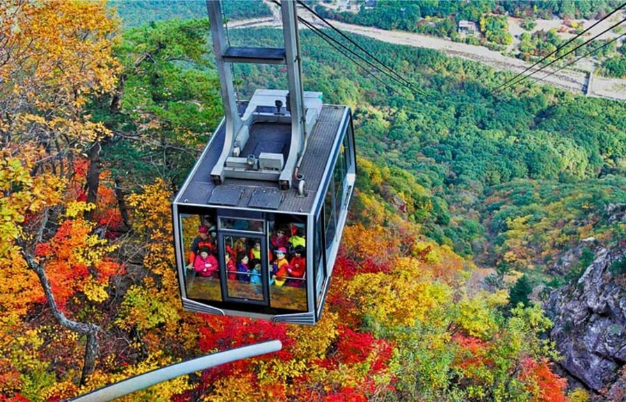 From Seoul: Seoraksan Mountain with Cable Car- Shuttle Bus - Sinheungsa Temple and the 14-Meter Gwaneumjeon Buddha