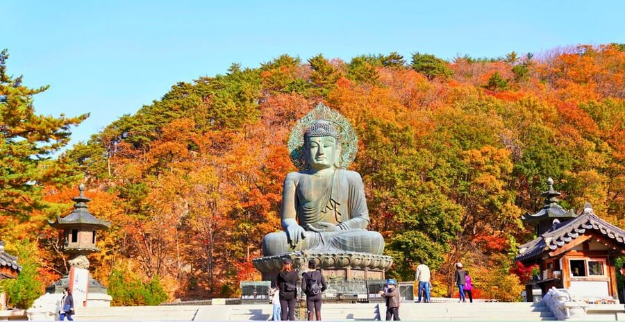 From Seoul: Seoraksan Mountain with Cable Car- Shuttle Bus - Cable Car to Gwongeumseong Fortress for Mountain Views