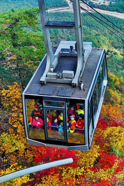 From Seoul: Seoraksan Mountain with Cable Car- Shuttle Bus - Guide and Group Experience: English, Chinese, and Real Personality