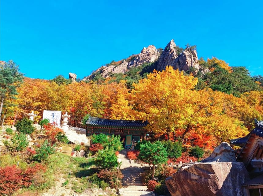 From Seoul: Seoraksan Mountain with Cable Car- Shuttle Bus - Price and Value: What $67 Includes (and What It Doesn’t)