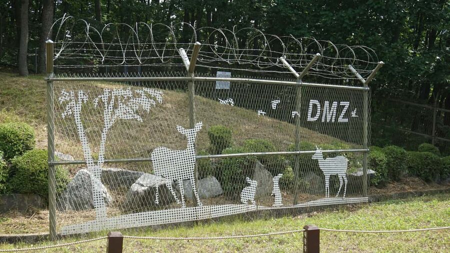 From Seoul: South Korea Demilitarized Zone Guided Tour - Timing, Transfers, and Why Weather and Regulations Matter Here