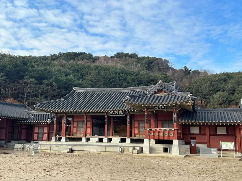 From Seoul: Starfield Library, Hwaseong, Gwangmyeong Cave - A 7-hour mix of books, walls, and underground gold