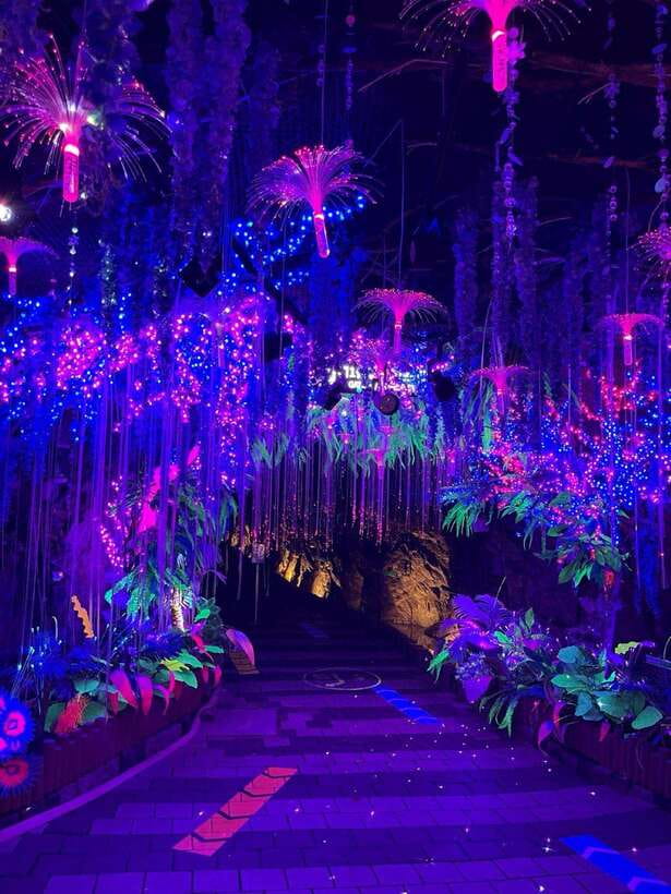 From Seoul: Starfield Library, Hwaseong, Gwangmyeong Cave - Should you book this Suwon and Cave day trip?