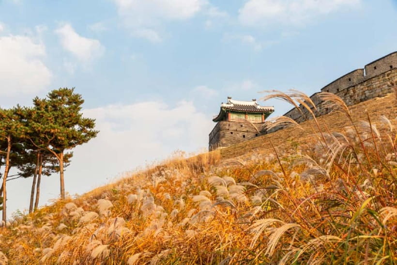 From Seoul: Suwon Hwaseong Fortress & Folk Village Tour - Key things to know before you go