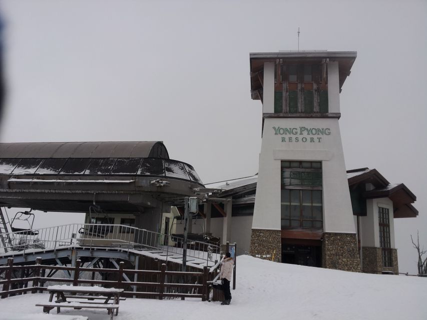 From Seoul: Yongpyong Ski Day Tour with Transportation - Key points worth knowing