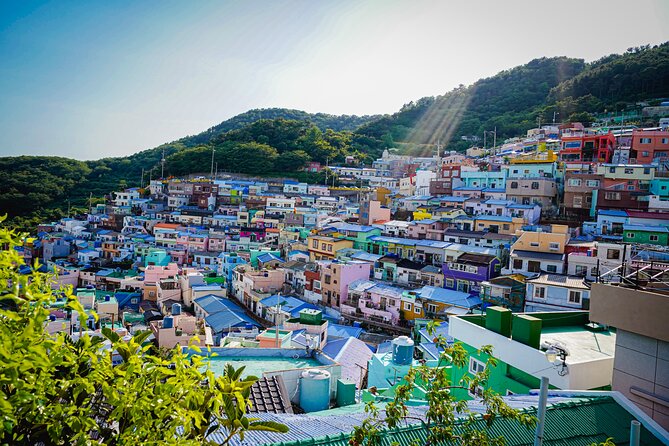 Full Day Busan and Gyeongju Guided Tour - Gyeongju Tomb Complex: Daereungwon in one focused hour