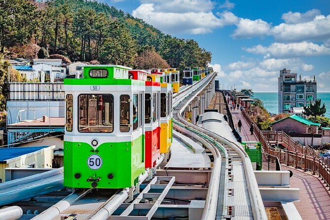 Full-Day Busan Highlights Private Guided Tour - A smart “greatest hits” route that still feels human