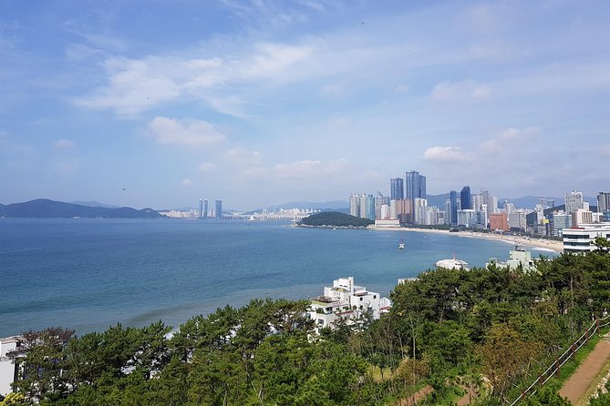 Full Day Busan Tour Including Haedong Yonggungsa Temple - Key things to know before you go