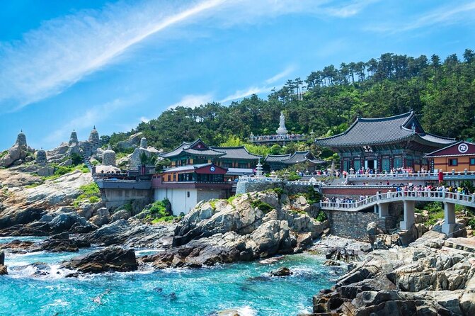 Full Day Busan Tour Including Haedong Yonggungsa Temple - A First-Time Busan Day That Starts With the Coast, Not the Map