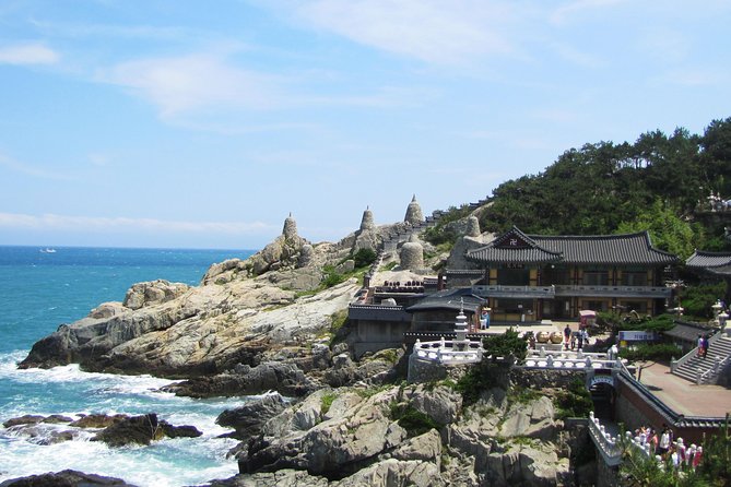 Full Day Busan Tour Including Haedong Yonggungsa Temple - Price and What You Actually Receive for $159.99