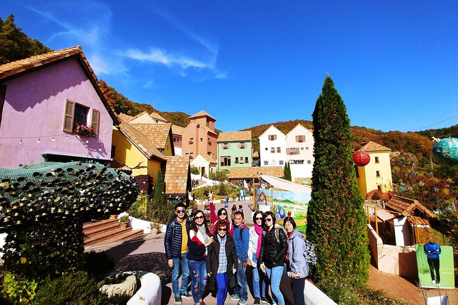 Full-Day Customizable Private Tour to Nami Island and surrounding Area - Price and Logistics: What You’re Paying For (and What You Aren’t)