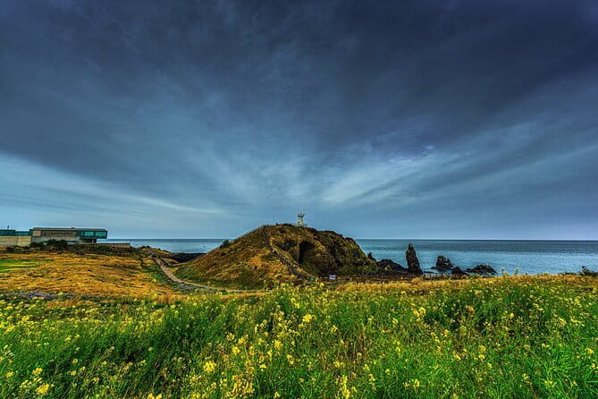 Full-Day Jeju Island UNESCO Tour for Cruise Layover Guests - Cruise-layover logistics that actually make sense