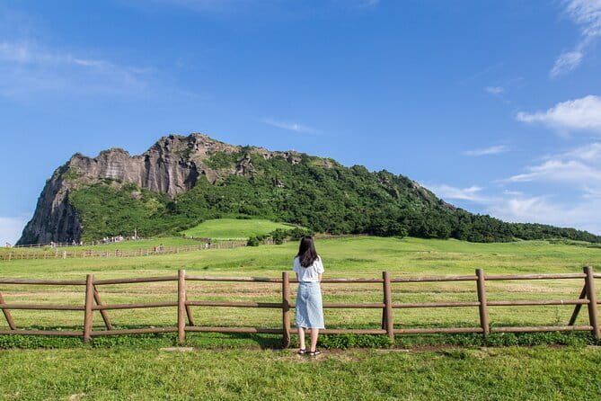 Full Day Jeju Private Customizable highlight Tour - Seongsan Ilchulbong Peak: crater views over the ocean, built for photos