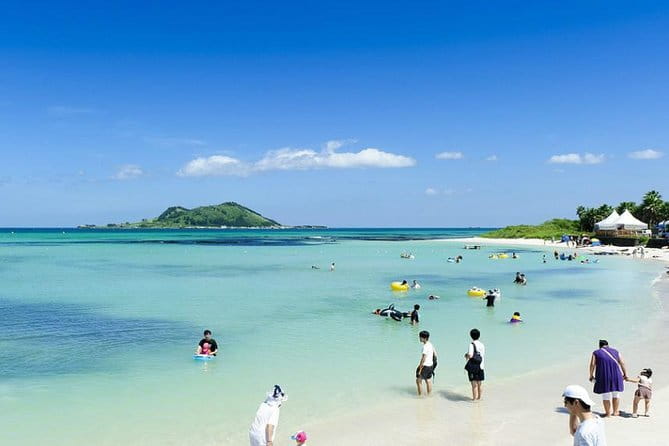 Full Day Jeju Private Customizable highlight Tour - Jejudo: horses, wild bird song, and a calmer outdoor reset