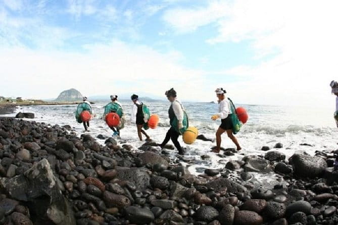 Full Day Jeju Private Customizable highlight Tour - Haenyeo Museum, optional haenyeo demonstration, and Gwangchigi’s quick photo stop