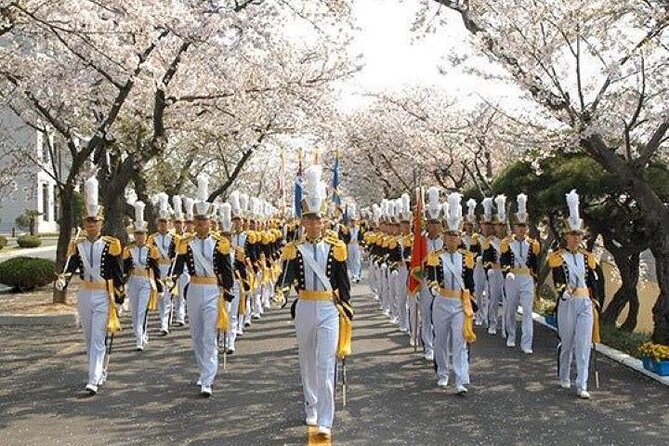 Full-Day Jinhae Cherry Blossom festival Private tour - The day’s rhythm: 8 to 9 hours, early pickup, and where the timing usually hits