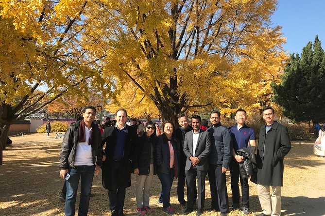 [ Full Day ] Nami Island & Petit France From Seoul - Who this day trip is best for
