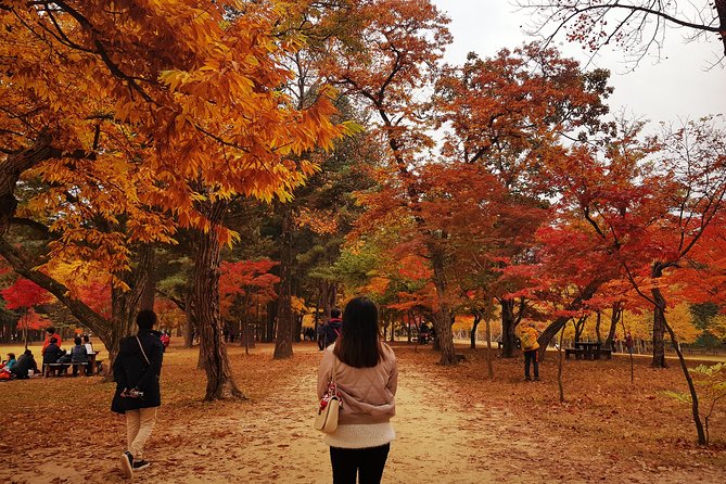 [ Full Day ] Nami Island & Petit France From Seoul - Nami Island: 6 hours of cherry and ginko walks