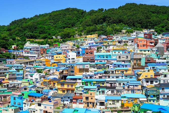 Full Day Private Busan Highlight Tour with Licensed Guide - Jagalchi and Gukje Markets, Seafood Energy and Classic Busan Shopping