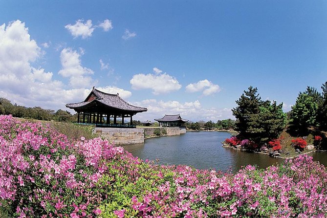 Full day Private Gyeongju UNESCO Heritage Tour : a glimpse into Silla - Daereungwon Tomb Complex and the Chemseongdae observatory vibe