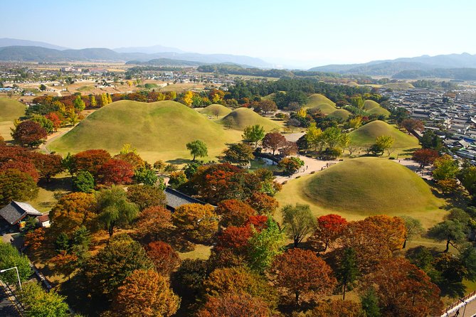Full day Private Gyeongju UNESCO Heritage Tour : a glimpse into Silla - Gyeongju Gyochon Traditional Village and the National Museum of Gyeongju