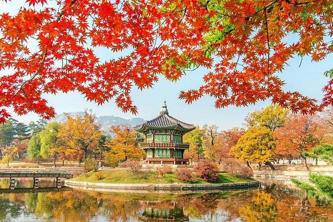 Full Day Private Seoul Tour for foodies - DMZ: border history, controlled access, and ticket help