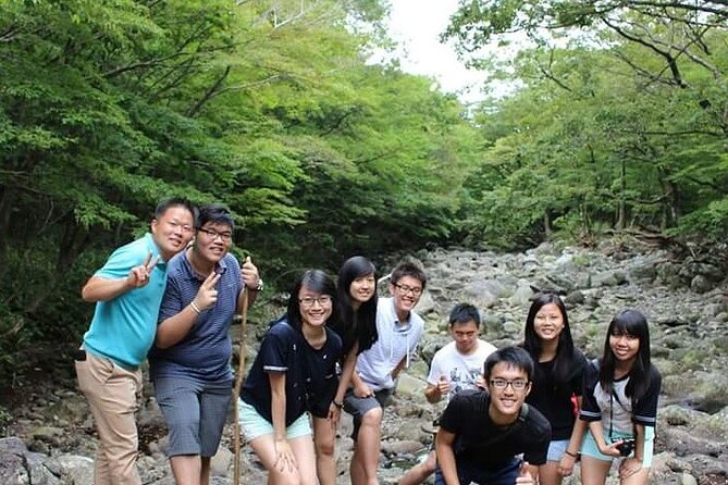 Full-Day Private Taxi Tour South of Jeju Island - Stop 1: Dokkaebi Road (Mysterious Road) and the Fun of a Gravity Trick