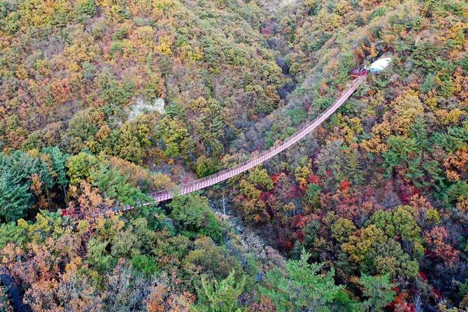 Full Day Private Tour DMZ (The 3rd Tunnel) & Suspension Bridge - What makes this private setup worth it