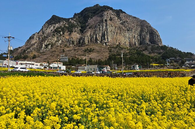 Full-Day Private Tour in Jeju Island - Yongmeori Coast and Daepo Jusangjeolli: The Best Kind of Weird Rocks