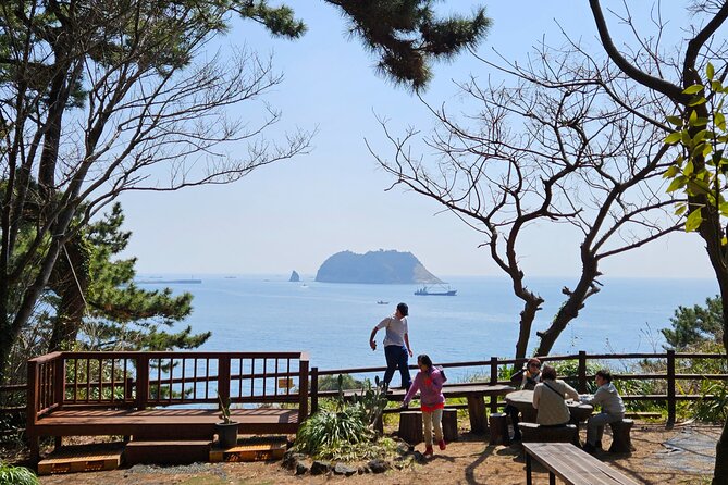 Full-Day Private Tour in Jeju Island - 981 Park to Gravity Rides and Aewol Sea Views