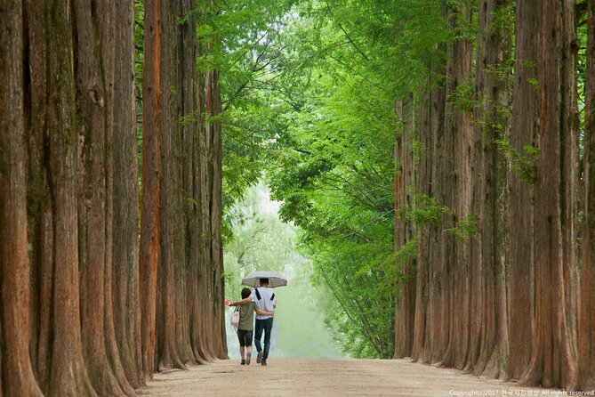 Full Day Private Tour Nami Island, Garden & Petite France - Garden of Morning Calm: calm gardens, strong photo results