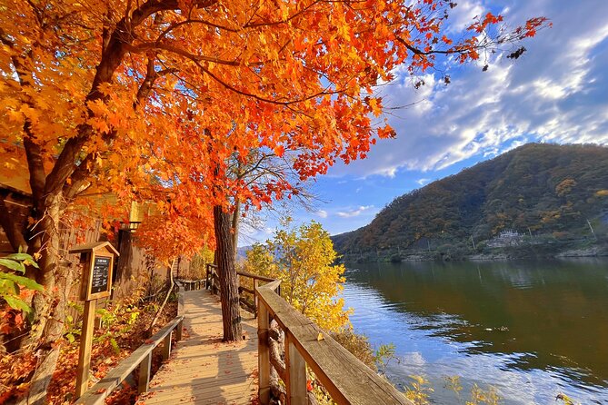 Full Day Private Tour Nami Island, Garden & Petite France - Petite France: French-themed streets in Korea