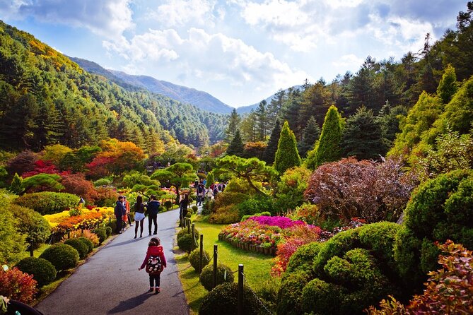 Full Day Private Tour Nami Island, Garden & Petite France - Pinocchio and Da Vinci: Italy via a themed village