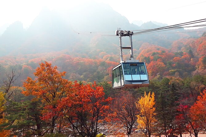 Full-Day Tour in Mt. Seorak & Nami (+Rail Bike Option) - Getting Out of Seoul: Pickup Points, Minivan Comfort, and Timing Reality