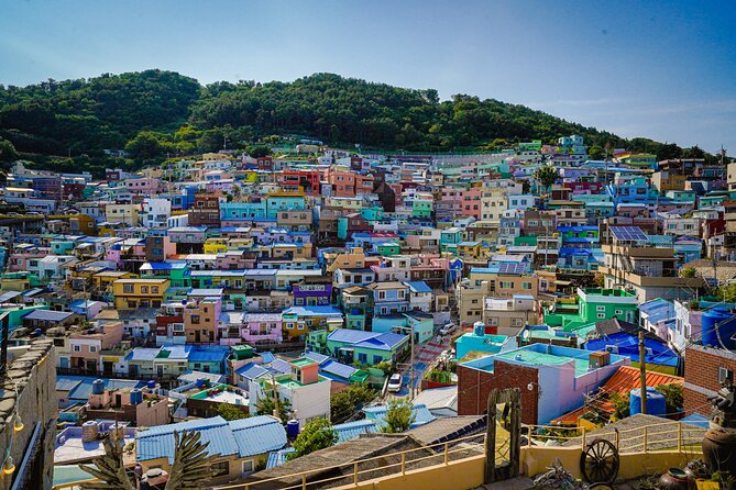 Full-Day Tour Unmissable things to do in Busan - Guide style, group size, and why timing feels different to everyone