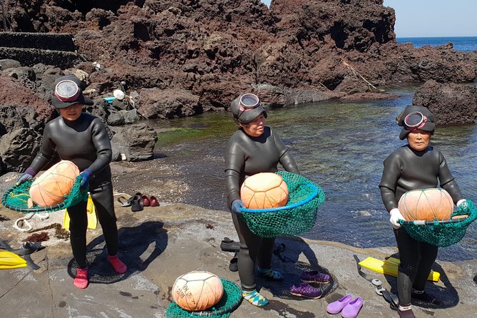 Fully Customizable Private Tour of Jeju Island - The UNESCO portion: how to pick sites that match your interests