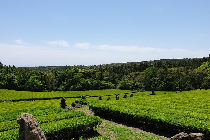 Fully Customizable Private Tour of Jeju Island - Manjanggul Lava Tube: the stop that makes Jeju feel real