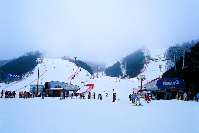 Gangchon Elysian Ski Day Trip from Seoul - A Fast Seoul Escape To Gangchon Elysian, With Real Pickup Choices