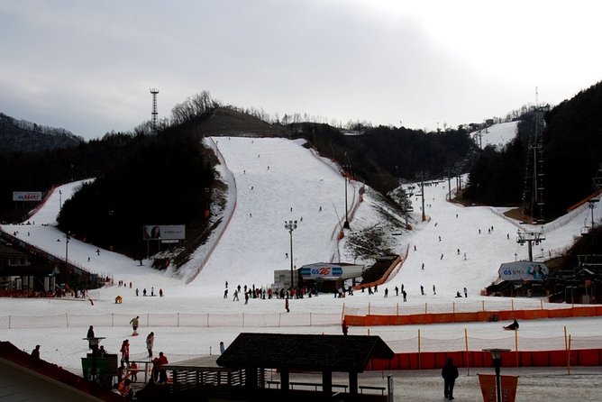 Gangchon Elysian Ski Day Trip from Seoul - Who This Day Trip Suits Best (and Who Should Pick Something Else)