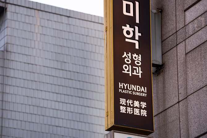 Gangnam Walking Tour on Youth and Society in Seoul Korea - Price, Time, and What You Really Get for $31.98