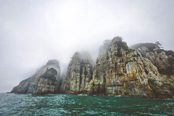 Geoje Oedo Botania Island from Busan - Oedo Botania: Why This Island Garden From Busan Feels Like A Day Off