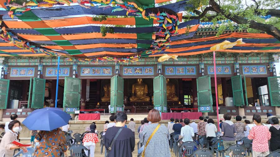 Gyeongbokgung Palace, Jogyesa Temple and Cheongwadae Tour - Food moments: herbal tea, a traditional drink, and the Noryangjin seafood idea