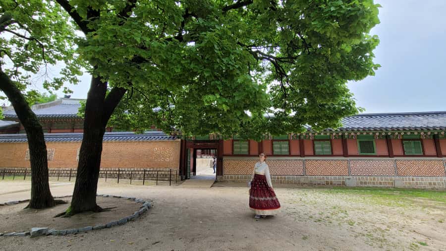 Gyeongbokgung Palace, Jogyesa Temple and Cheongwadae Tour - Meeting at Anguk Station Exit 6 and what to wear