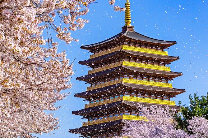 Gyeongju Cherry Blossom Day Tour from Busan (2~3 spring spots) - Key highlights to know before you go