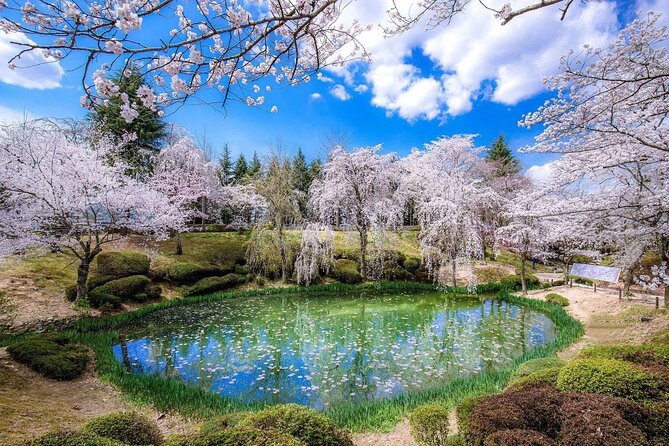 Gyeongju Cherry Blossom Day Tour from Busan (2~3 spring spots) - Why a Busan-to-Gyeongju cherry blossom day feels less stressful