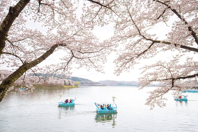 Gyeongju Cherry Blossom Day Tour from Busan (2~3 spring spots) - The spots that pair cherry blossoms with Korean culture