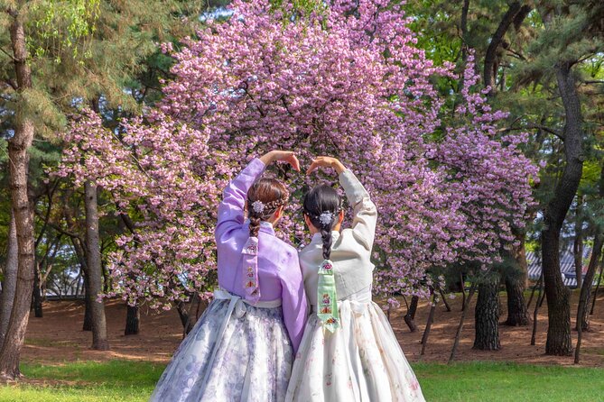 Gyeongju Cherry Blossom Day Tour from Busan (2~3 spring spots) - Guides, English help, and why explanations make the blossoms click