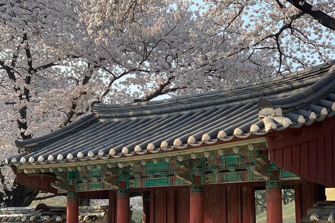 Gyeongju Cherry Blossom Day Tour from Busan (2~3 spring spots) - What you should bring (since meals are not included)